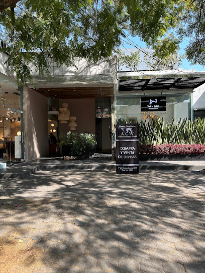 Foto AMLC MONEY EXCHANGE CENTRO CAMBIARIO SA DE CV