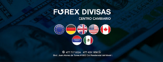 Foto Dolares Forex divisas