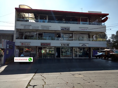 Foto DOLARES Goya