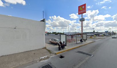 Foto Divisas Premier