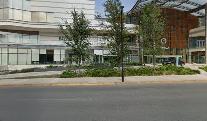 Foto Mercado de Divisas y Metales Centro Cambiario