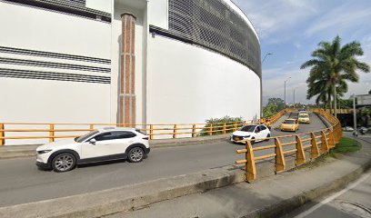 Foto Divisas El Tesoro