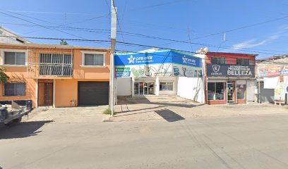 Foto Multiempe Os Chihuahua