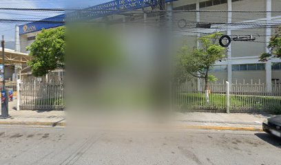 Foto Consultoria Internacional