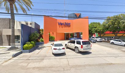 Foto Vector Divisas